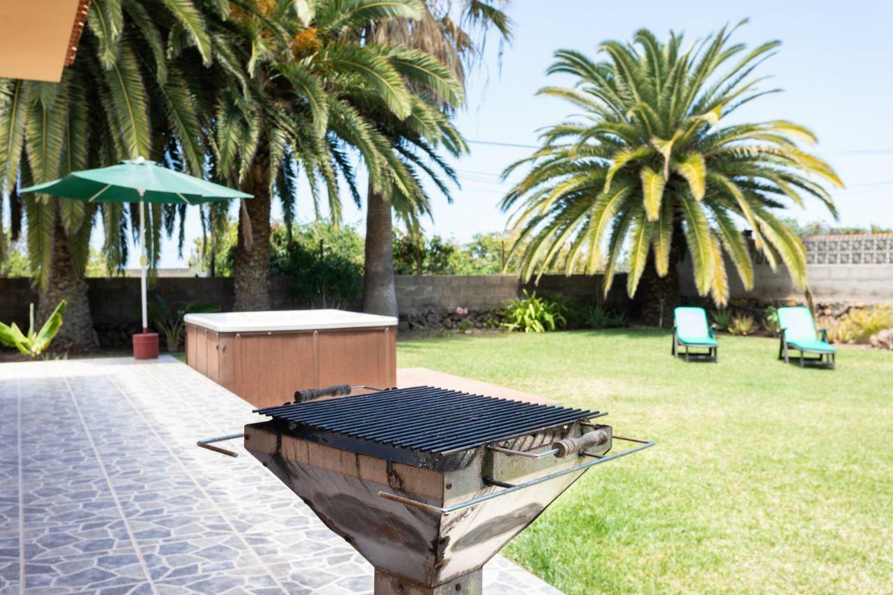 Finca La Gaviota - Las Palmeras Икод-де-лос-Винос Экстерьер фото